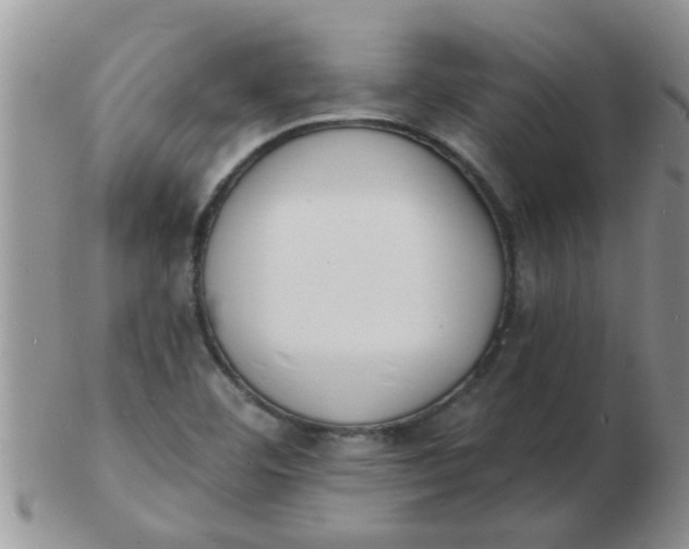 X0000103301460200809122019