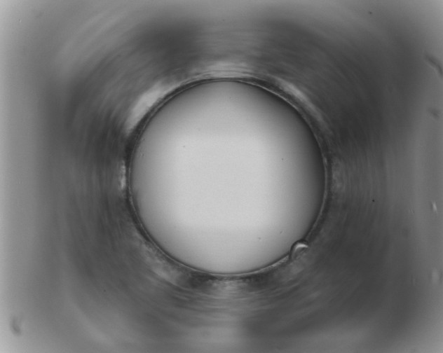 X0000103301461200809122019