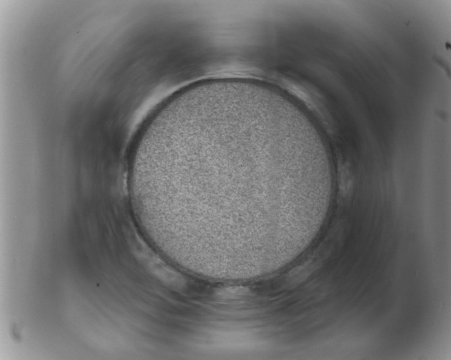 X0000103301462200809122019