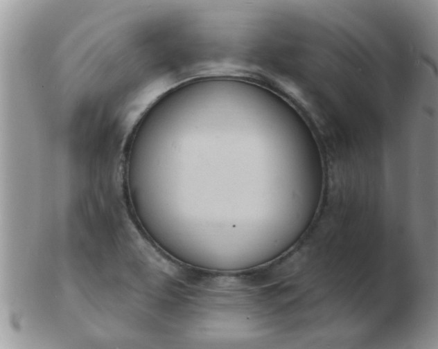 X0000103301463200809122019