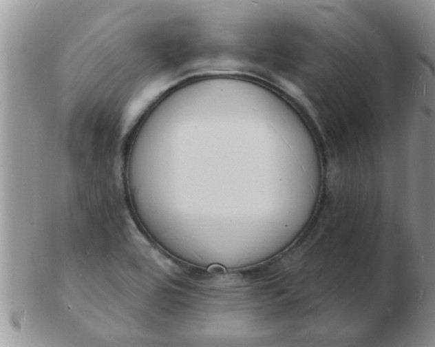 X0000103301464200809122019