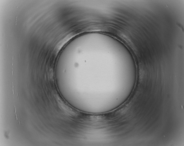 X0000103301465200809122019