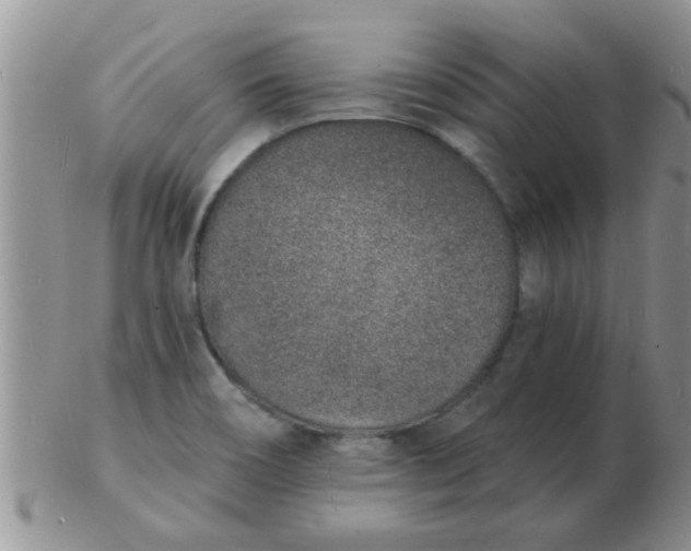 X0000103301466200809122019