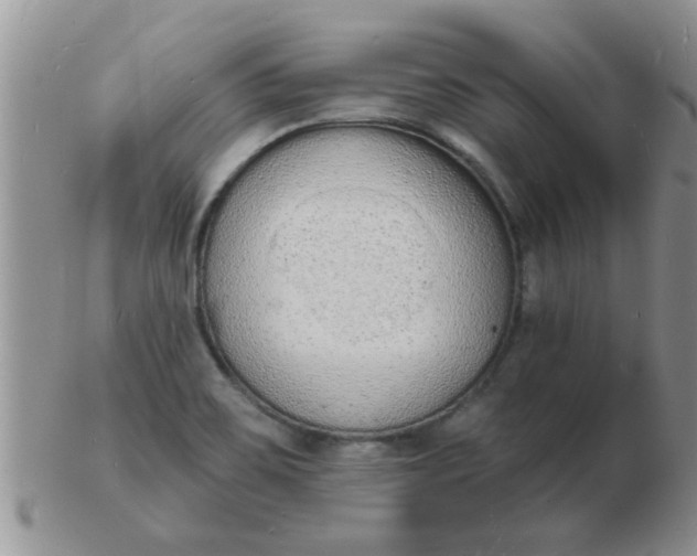 X0000103301467200809122019