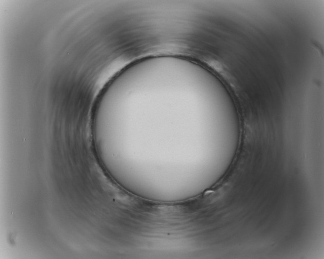 X0000103301469200809122019