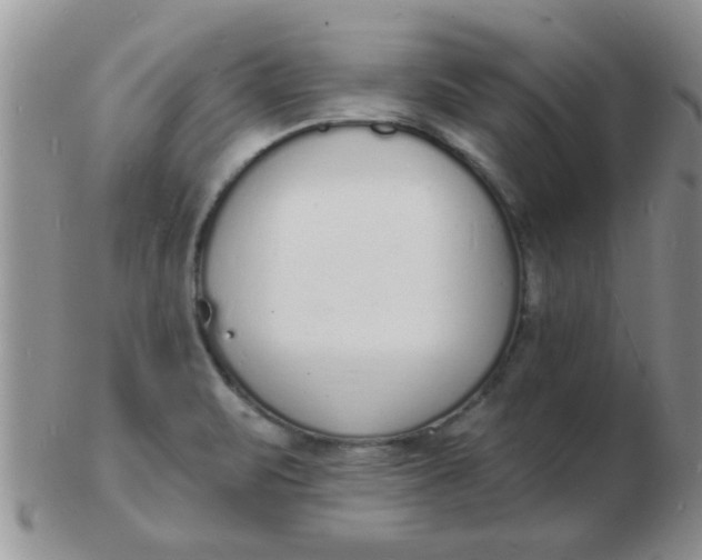 X0000103301471200809122019