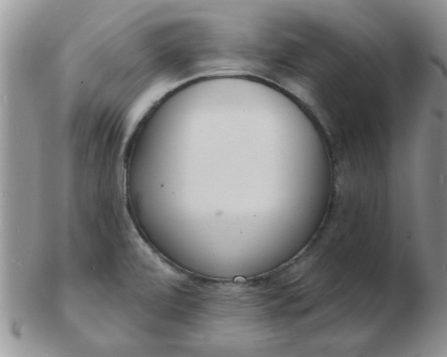 X0000103301472200809122019