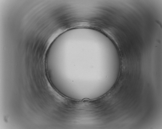 X0000103301475200809122019