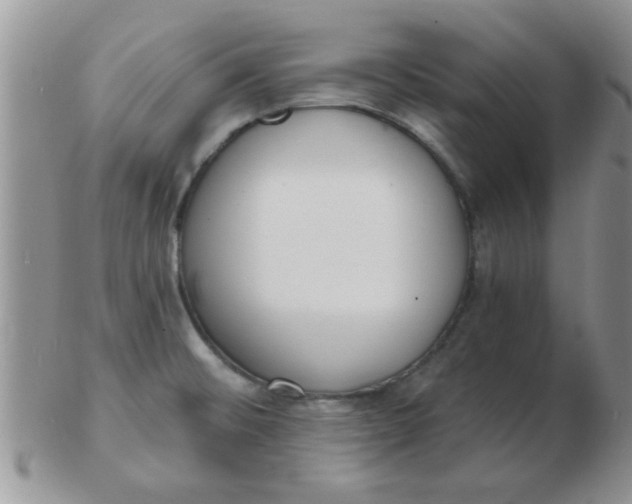 X0000103301476200809122019