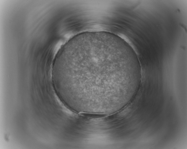 X0000103301477200809122019