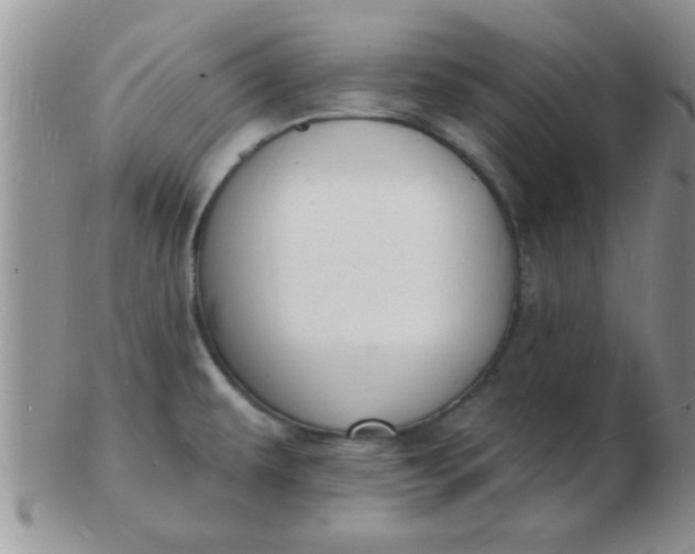 X0000103301479200809122019