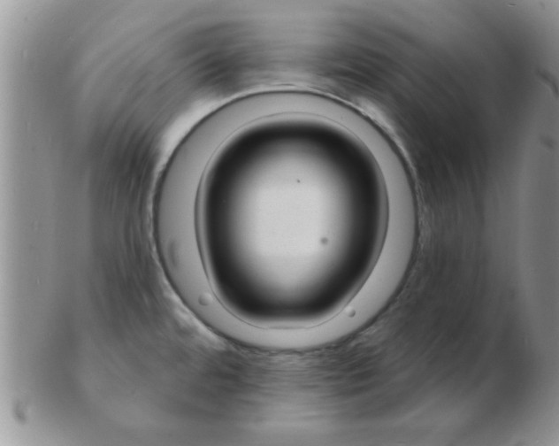 X0000103301480200809122019