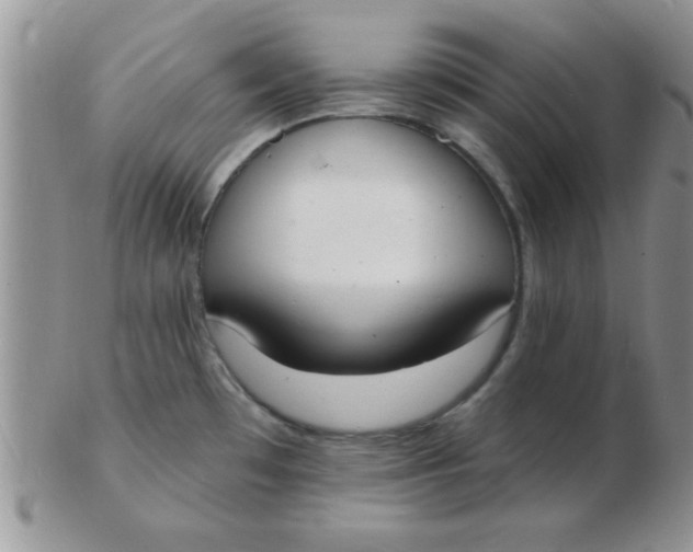 X0000103301481200809122019