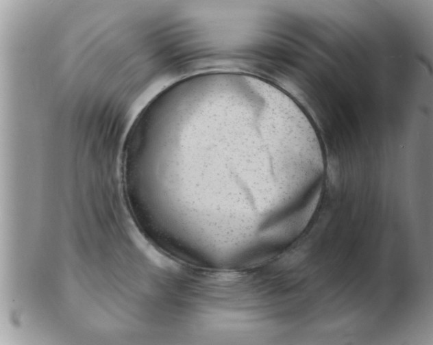 X0000103301482200809122019