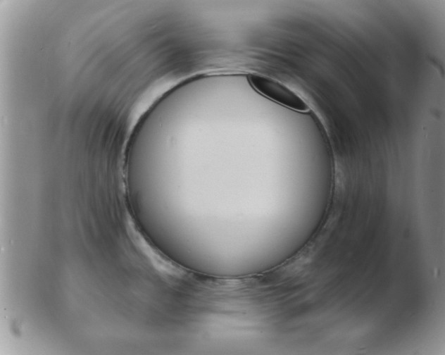 X0000103301485200809122019