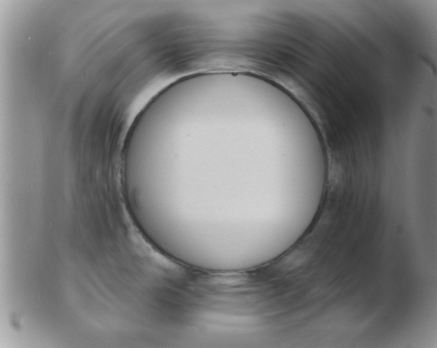 X0000103301486200809122019