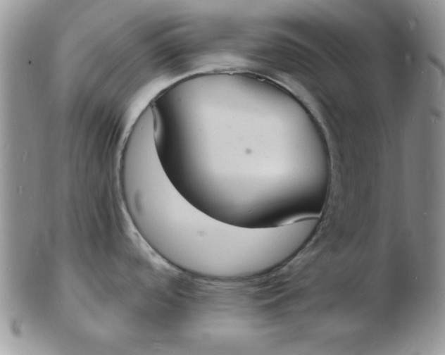 X0000103301488200809122018