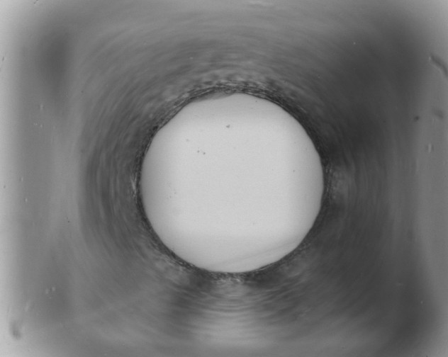 X0000103301489200809122018