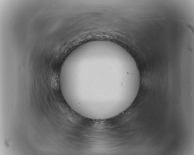 X0000103301490200809122018