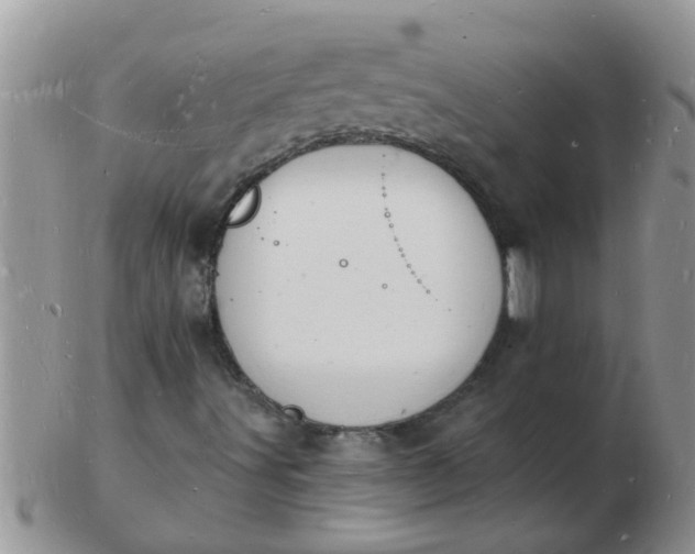 X0000103301491200809122018