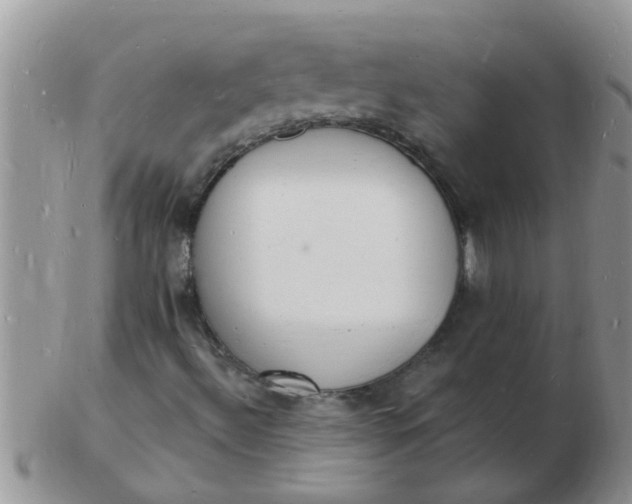 X0000103301492200809122018