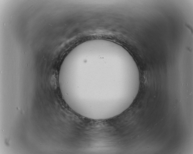 X0000103301493200809122018