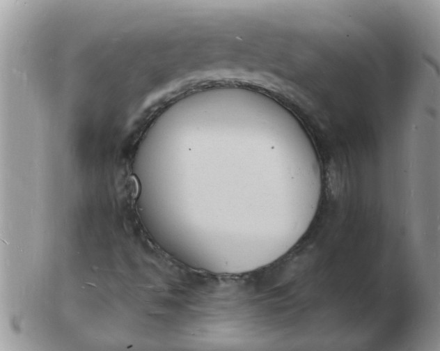 X0000103301494200809122018