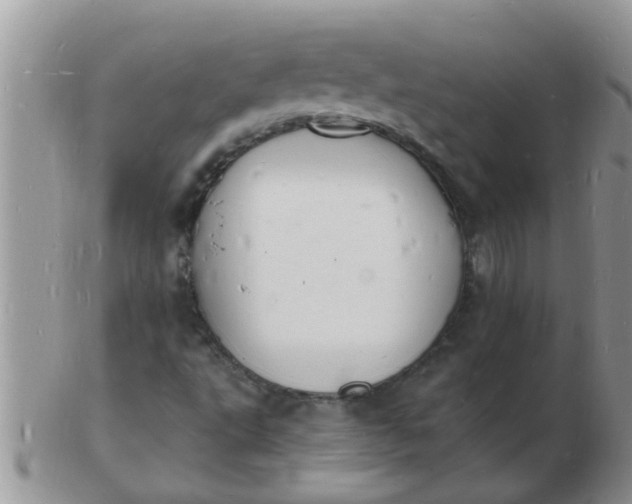 X0000103301495200809122018