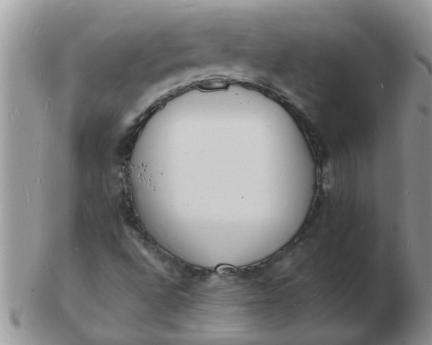 X0000103301496200809122018