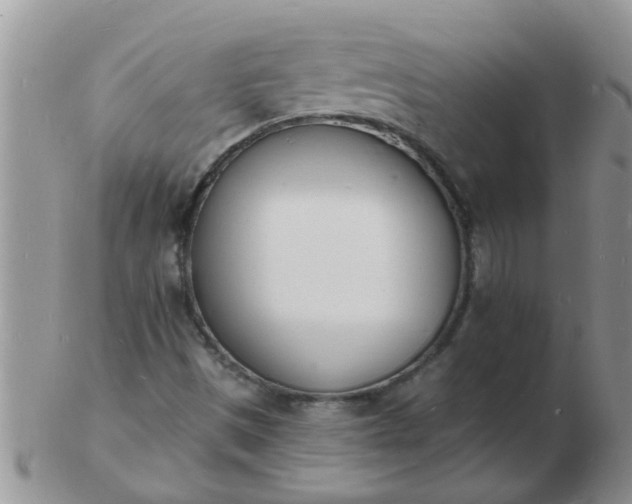 X0000103301497200809122018