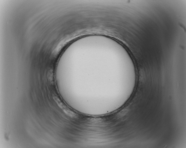 X0000103301499200809122018