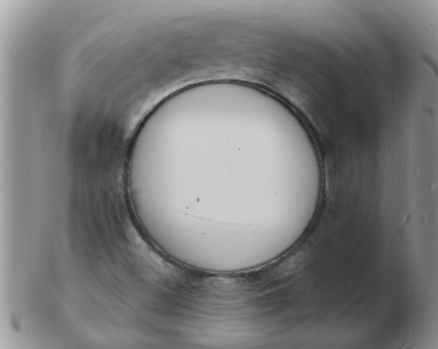 X0000103301500200809122018