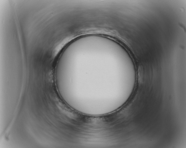 X0000103301501200809122018