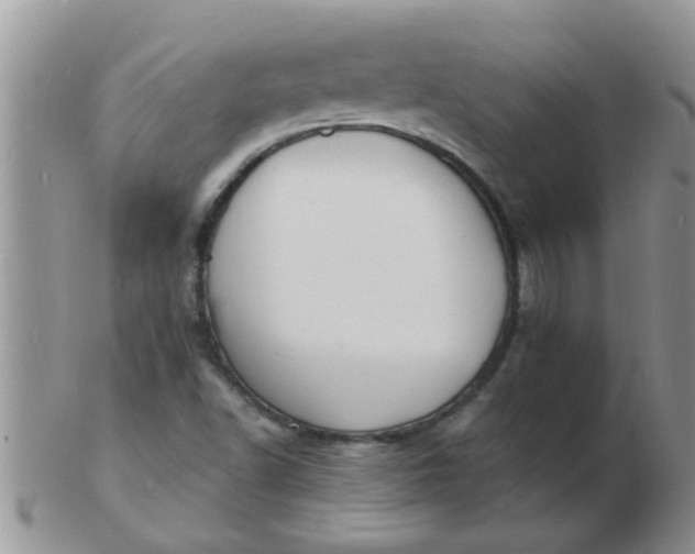 X0000103301502200809122018