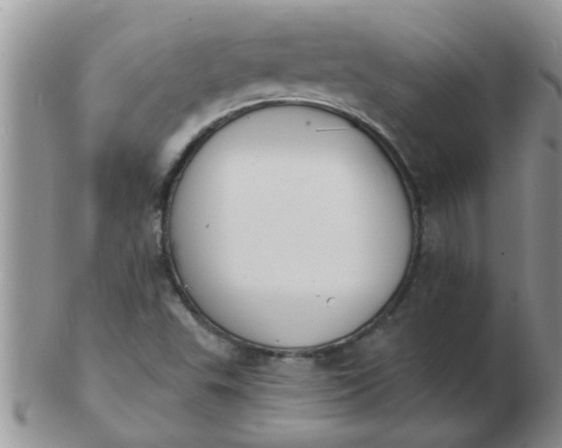 X0000103301503200809122018