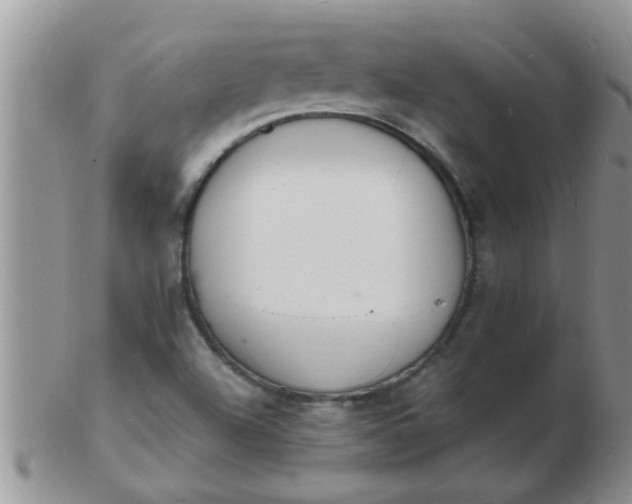 X0000103301504200809122018