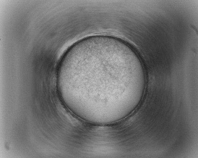 X0000103301506200809122018