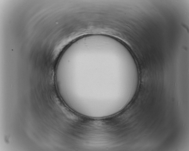 X0000103301507200809122018