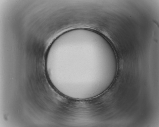 X0000103301508200809122018