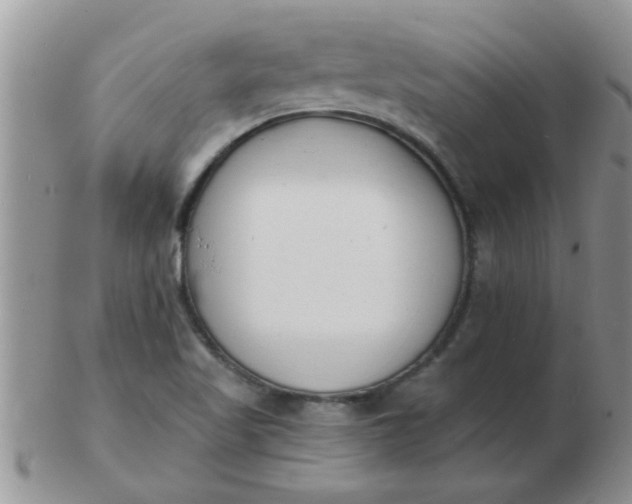 X0000103301509200809122018