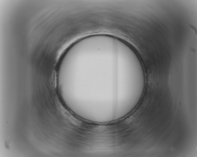 X0000103301510200809122018