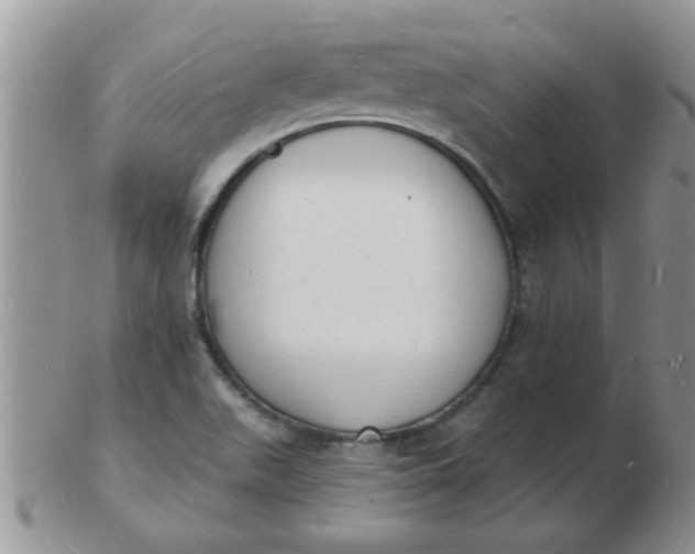 X0000103301511200809122018