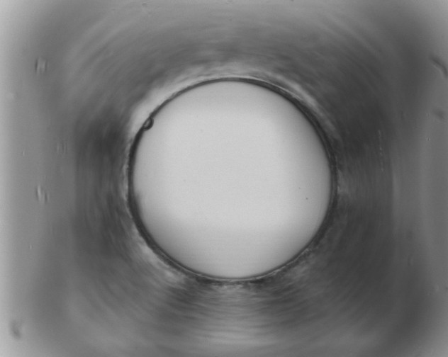 X0000103301512200809122018