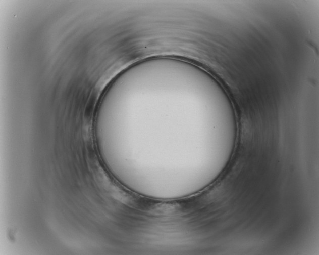 X0000103301513200809122018