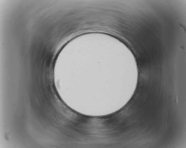 X0000103301514200809122018