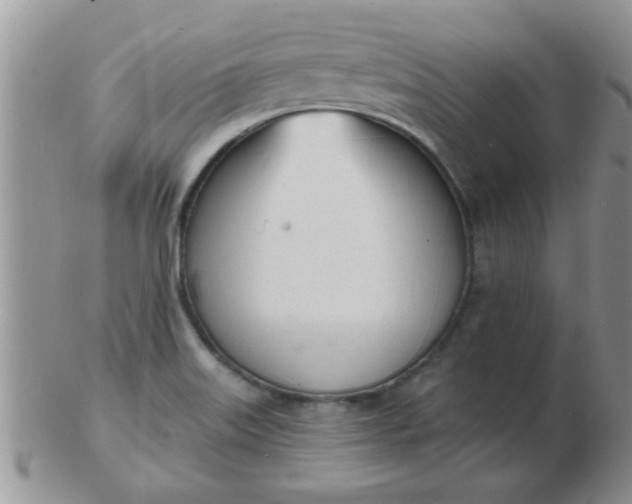 X0000103301515200809122018