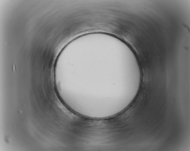 X0000103301516200809122018