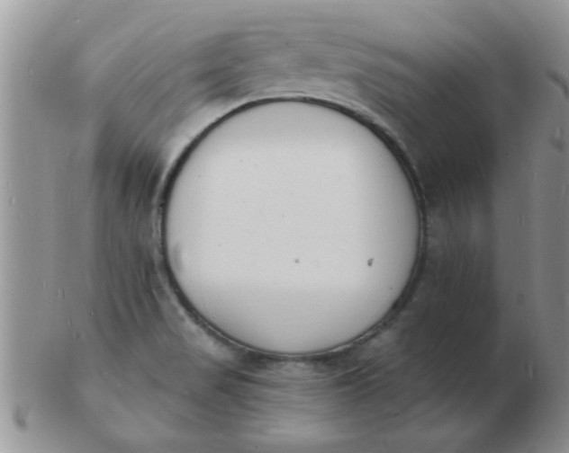 X0000103301517200809122018