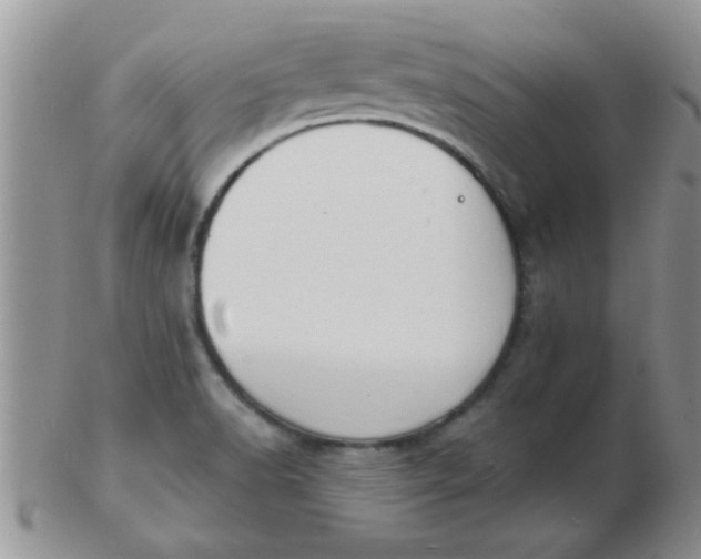 X0000103301518200809122018