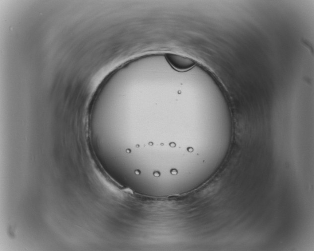 X0000103301519200809122018